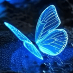 BUTTERFLY|DANCE ACADEMY