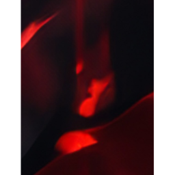🎞️