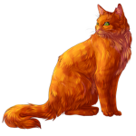 Warrior cats people :>