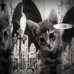 †V0idK1ss†