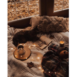 Zendi's Cozy Corner