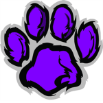 Cheer extreme wildcats!