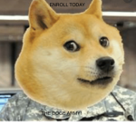 DOGE ARMY MILITARY GROUP
