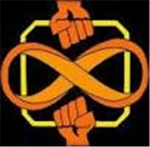 The Infinate Fighters
