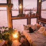 - cozy mysterys -