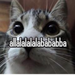 meowewww