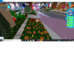 The Bloom :)