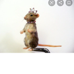 Rat_queens_group UnU