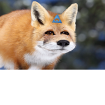fooxs
