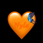 NYLA’333