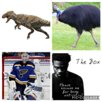 sports dinosaur animal and music club
