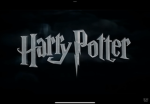 TheHarryPottergroup2