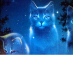 Warrior cat hangout group