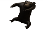 Team Brown bear