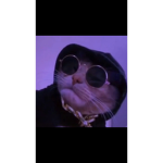 rabi33 YT