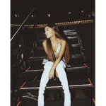 ari's flamingos