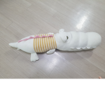 바다