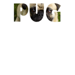 Ian's Pug Squad