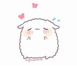 Little Lambs!