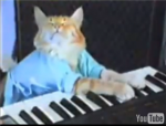 lol cat world