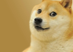 King Doge Official