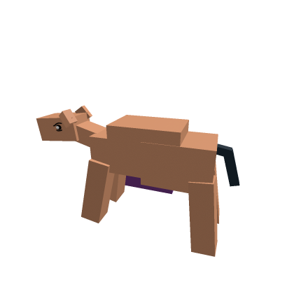 Camel 