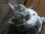 All about chat