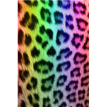 Cheetah Group!!!