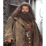 HAGRID DAY