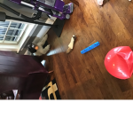 Puppy Gaming