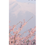 CherryBlossom Aesthetic Clothing