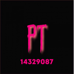 Pink Team (PT)