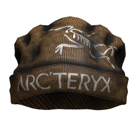 Brown Y2K Grunge Arc'teryx Beanie | Roblox Item - Rolimon's