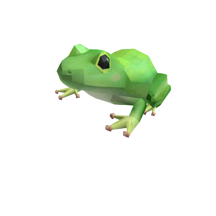 Frog On Your Head