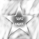 Silver Karate