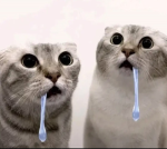 Mihai :>>>