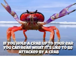 Totallyoriginalname