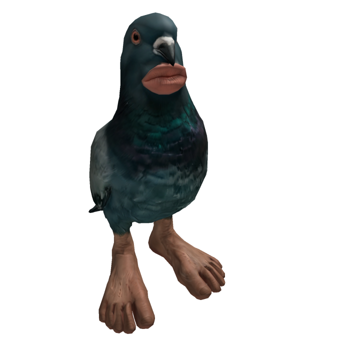 Pigeon Whispering Meme Funny Trend Foot 