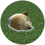Unfinished Doge