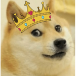 Doge•Kingdom