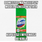 domestos friends