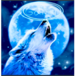 Wolfpack gamers
