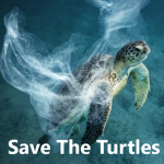 Save The Turtles _STT