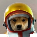 Doge group 3D