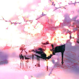 Sakura Trees