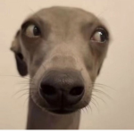 CozxyiClothxngx