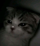 hello jkhsdjs