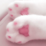 . “ Soft Paws “ .