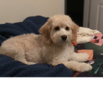 Ohhh it’s Teddy
