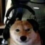 Dani_Shu